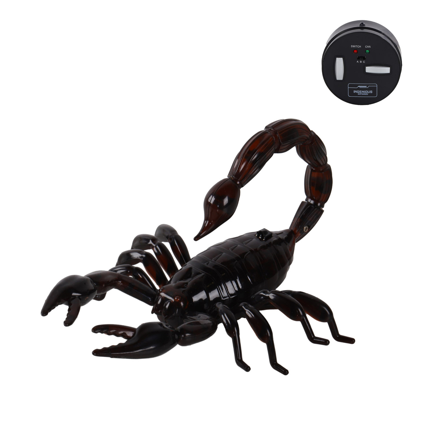 R scorpion. R scorpion