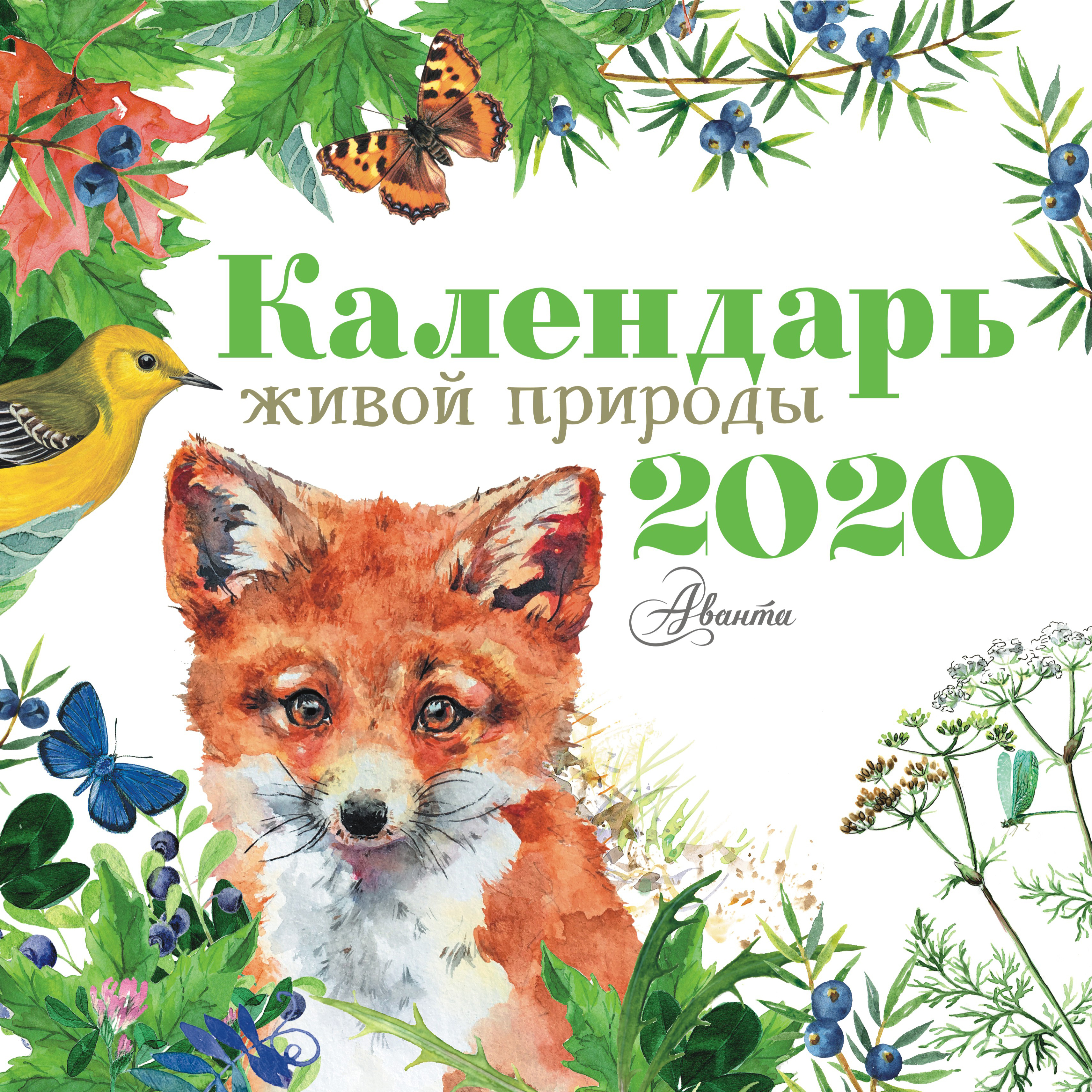 Календарь 2025 год природа