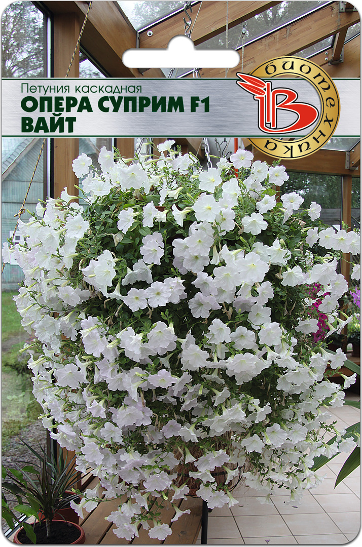 Купить Семена Биотехника В Интернет Магазине
