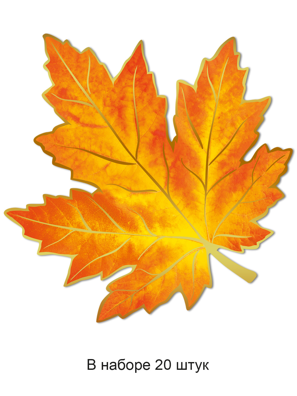 Разноцветный лист клена. Осенние листья. Осенние листочки. Кленовый лист. Осенний кленовый лист.