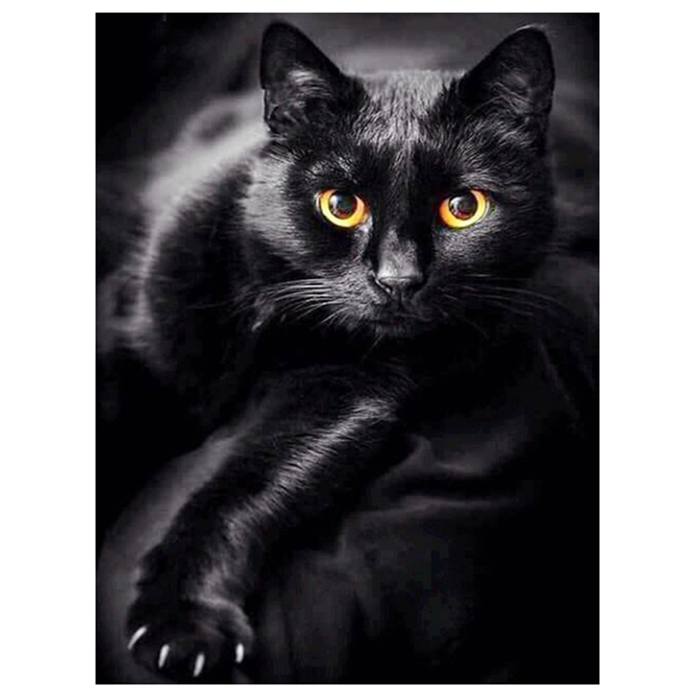 Кот черный картинка