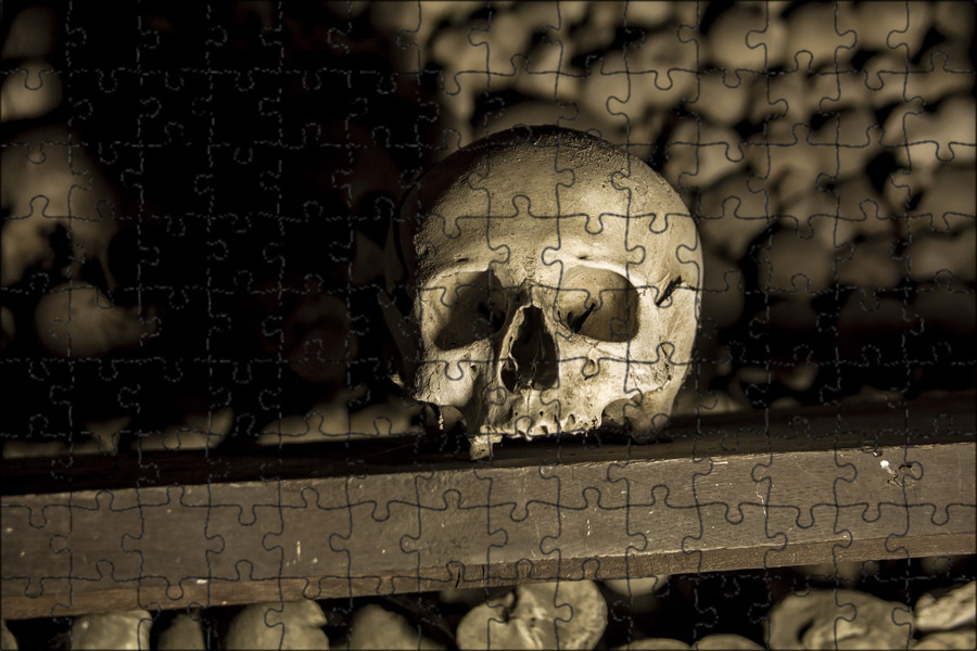 Skeletal remains have been found in Limerick Skull reference, Skulls drawing, Sk