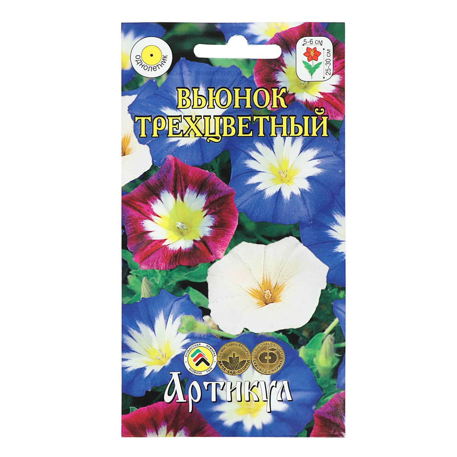 вьюнок трехцветный смесь. семена алтая вьюнок смесь. вьюнок трехцветный канкан. вьюнок конвольвулюс трехцветный голубой. вьюнок трехцветный голубой.