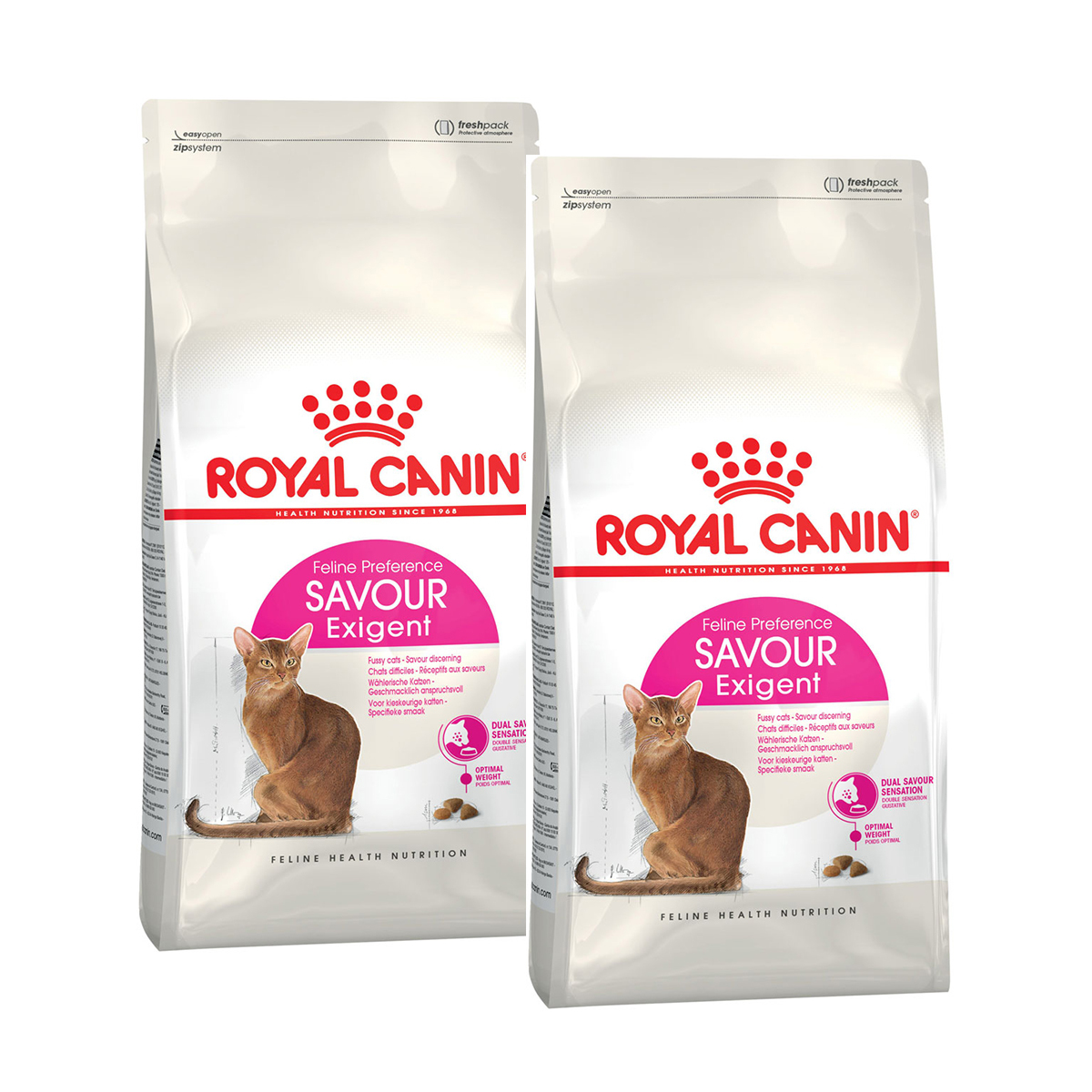 Для привередливых кошек. Savour exigent Роял Канин. Royal Canin savour exigent корм для кошек. Сухой корм для кошек Royal Canin savour exigent, для привередливых. Royal Canin для привередливых кошек.