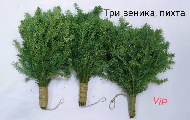 Веники пихтовые vip, 3шт. Веники для бани, банные веники - Веник для ...