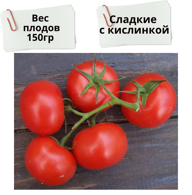 Помидор копейск меню. Томат три сестры f1. Семена томата Гавриш три сестры. Томат душа Сибири f1 0,05гр/10. Помидоры скворец когда сажать на рассаду в открытый.