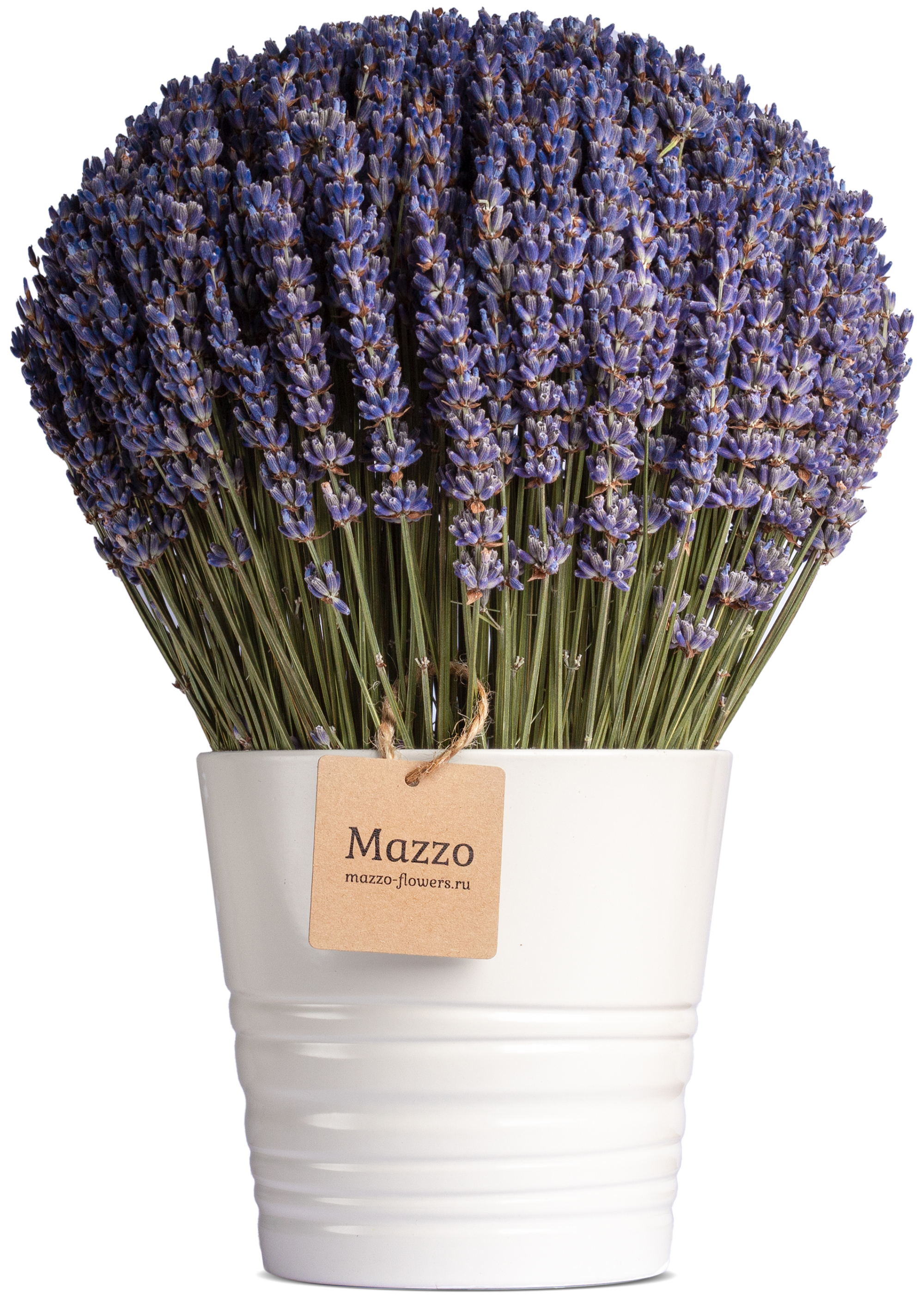 Сухоцветы mazzo Лаванда, 24 см