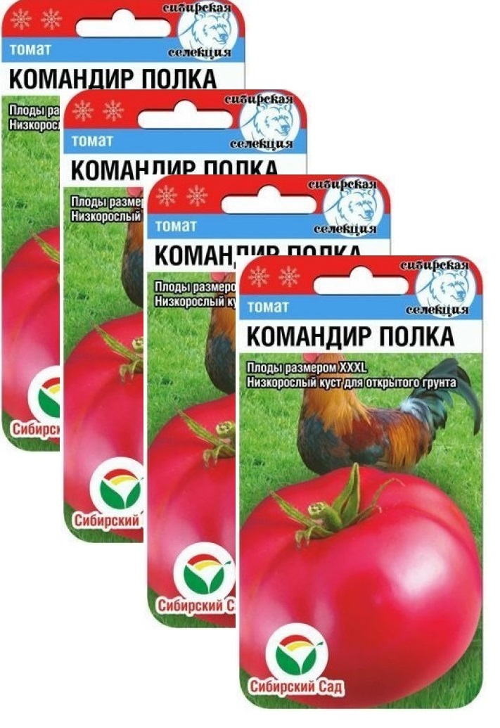 Томат сорт "командир полка". Семена томата командир полка. Томат командир полка. Томат командир полка. Томат командир полка сибирский сад.