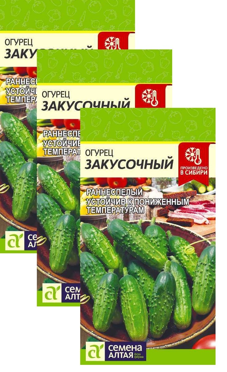 Огурец Закусочный Фото Огурец Закусочный Фото