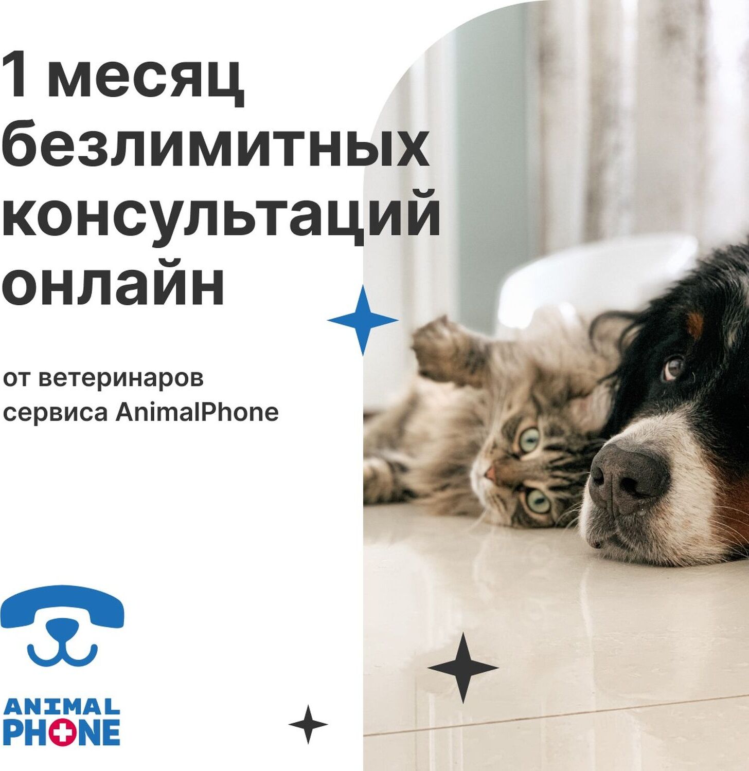 1 месяц безлимитных консультаций онлайн от ветеринаров сервиса AnimalPhone