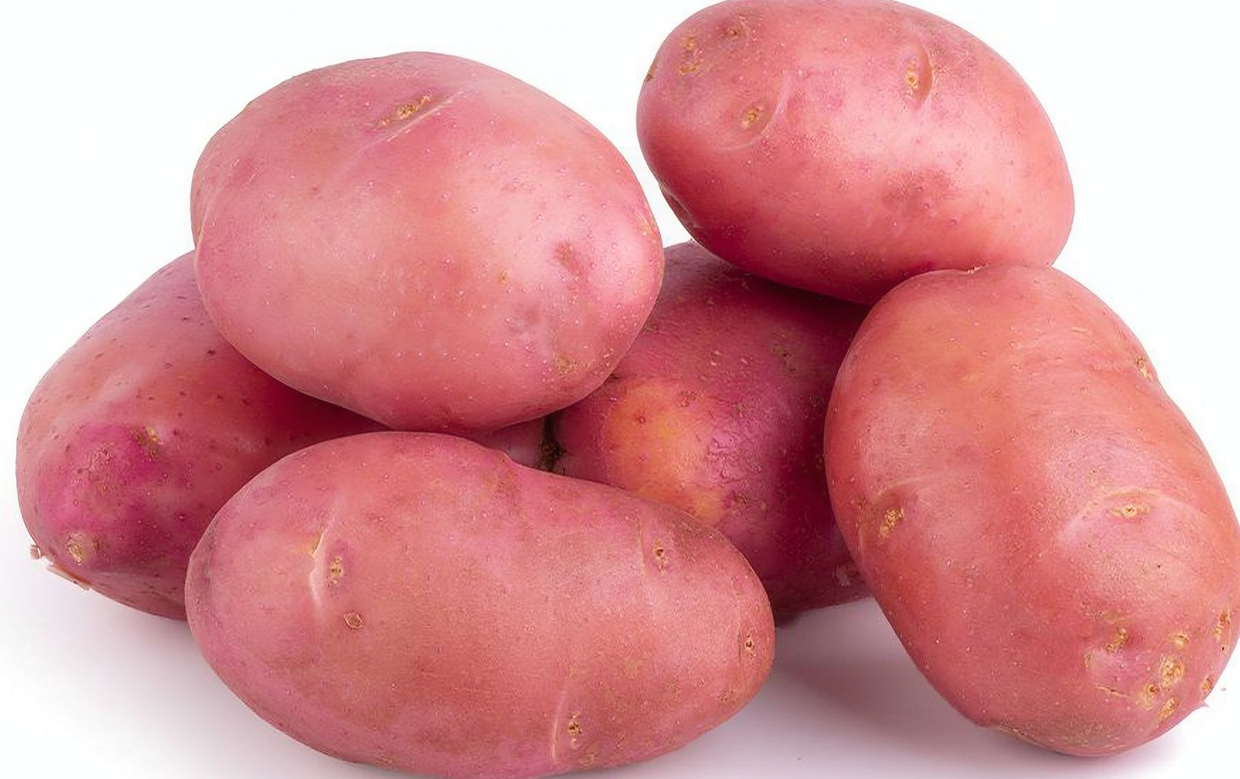 Розара картофель купить описание сорта. Картофель Розара. Рассыпчатый картофель. Семена картофеля фото. Розара семена картофеля.