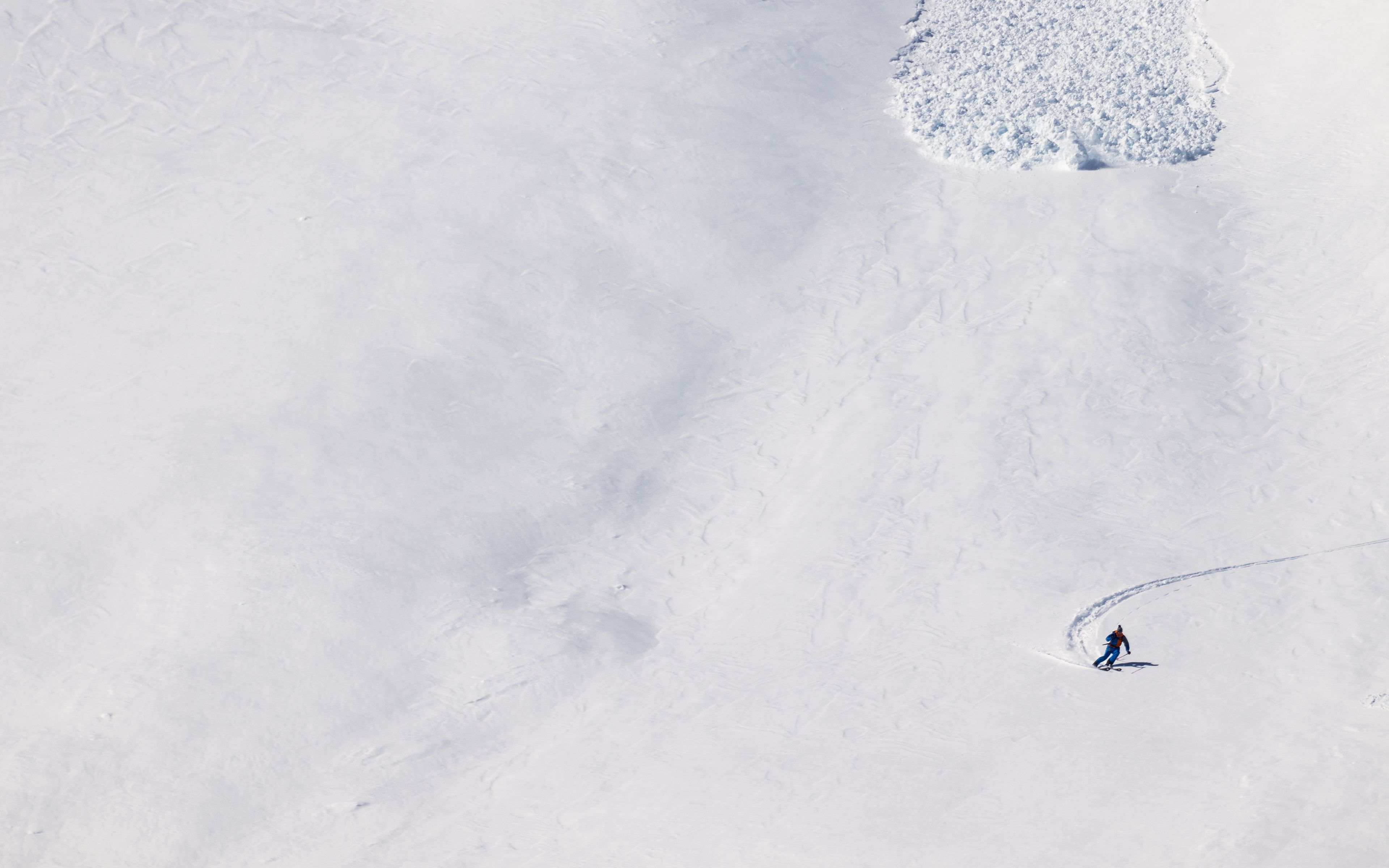 Ostrich Snow Skiing