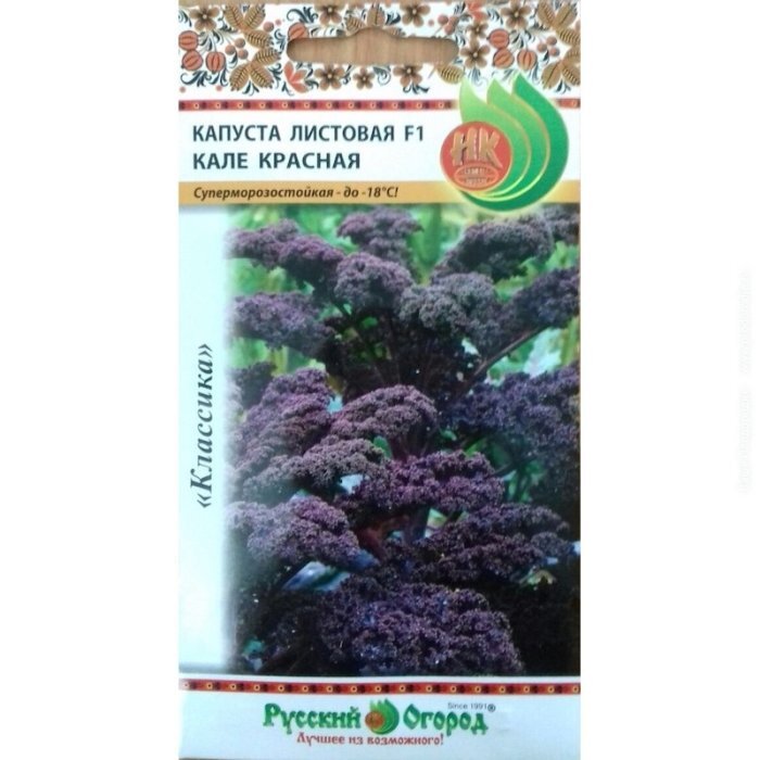 Капуста листовая Кале Kale Nero di Toscana - купить семена в интернет-магазине