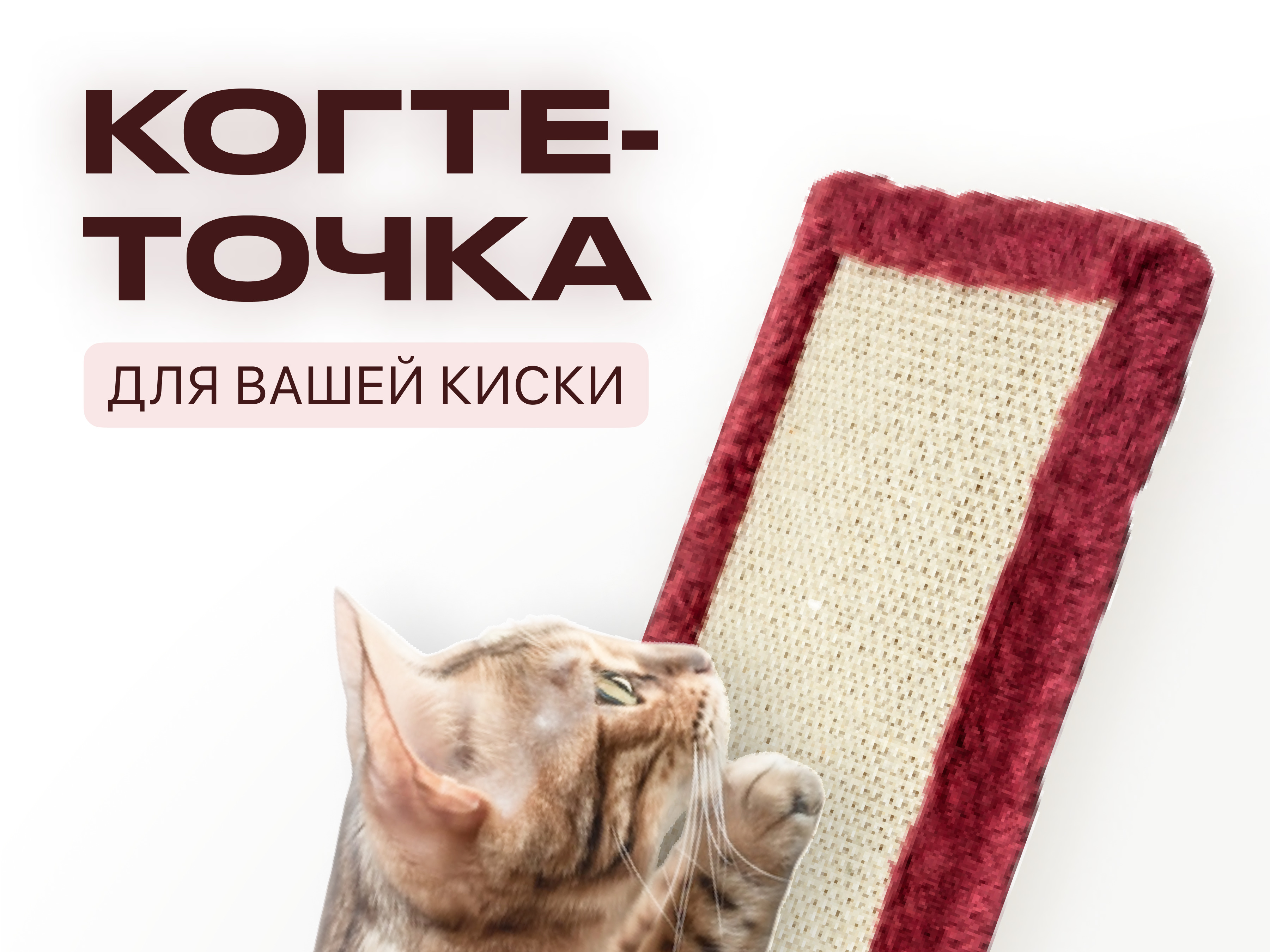 Когтеточка для кошек / Картонная лежанка / Когтедралка для кошки напольная  с веревкой - купить с доставкой по выгодным ценам в интернет-магазине OZON  (486705180)