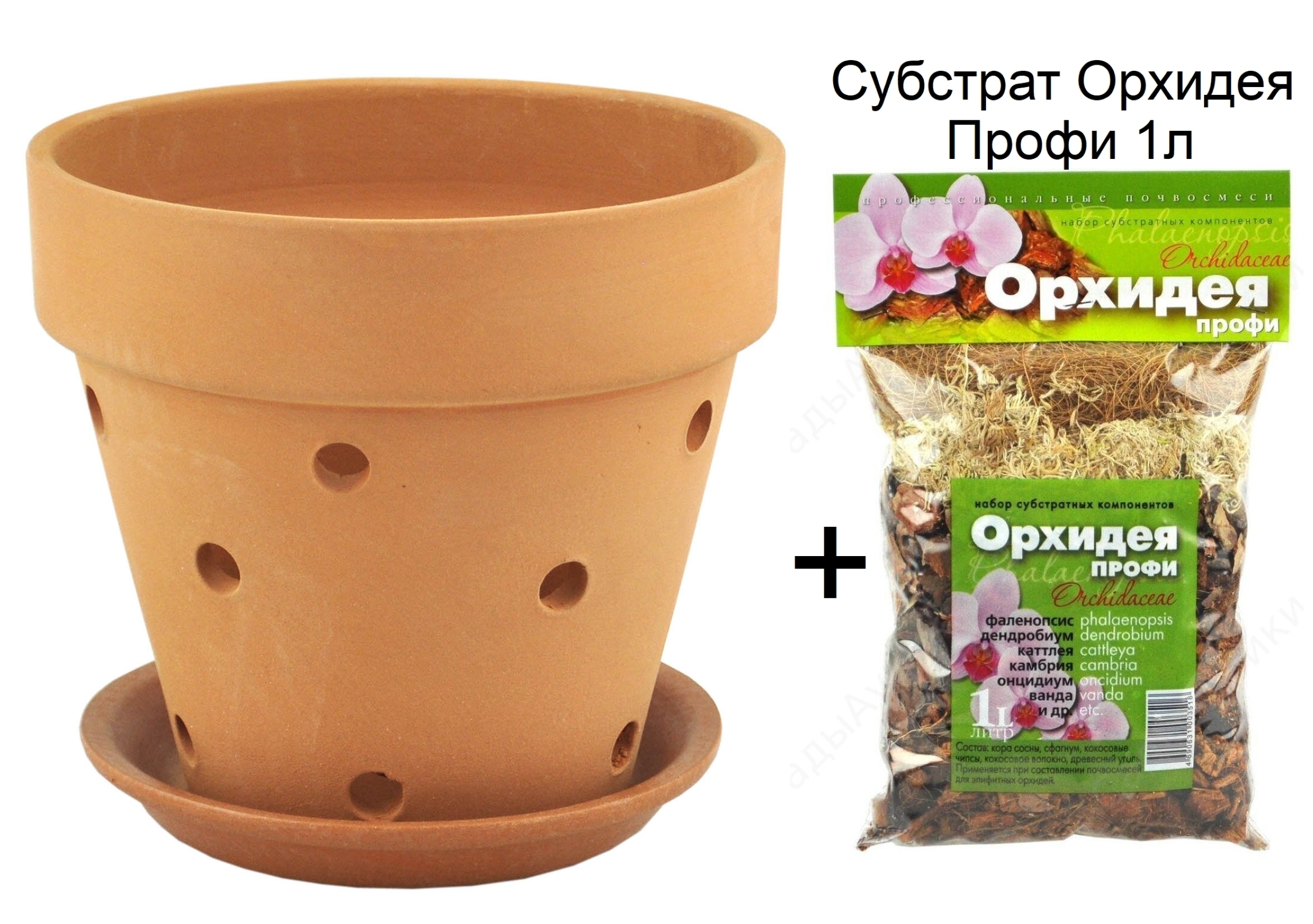 Закрепление растения в субстрате. Закрепление растения в субстрате