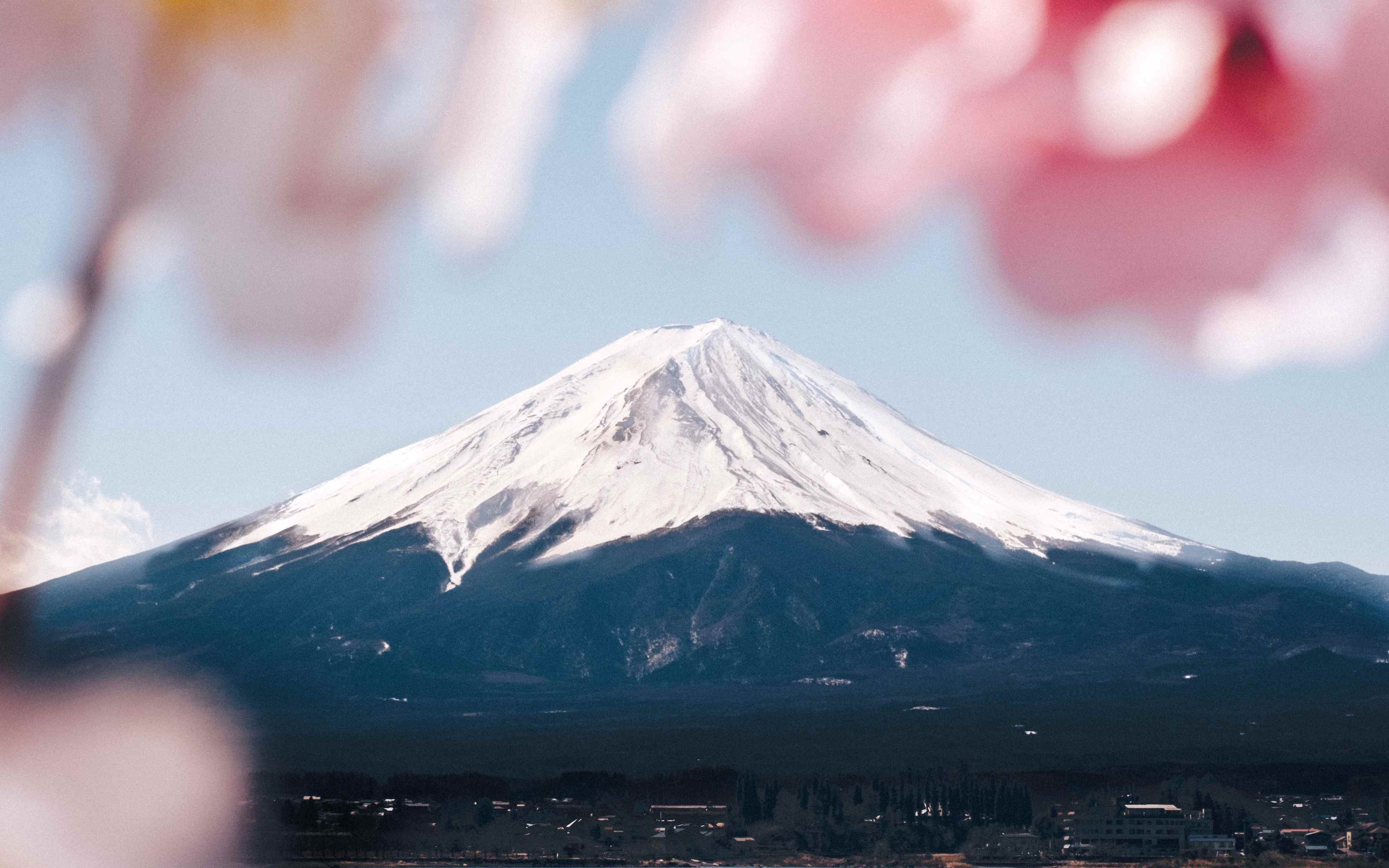 Mount fuji purple wallpaper engine. Фудзияма Япония. Гора Фудзи. Вершина горы Фудзи. Япония гора Фудзияма на вершине.