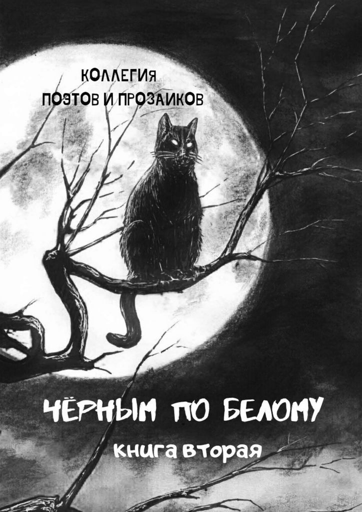 Читать полностью книгу черный белый. Книга черно белая. Обложка книги чб. Читать полностью книгу черный белый. Читать полностью книгу черный белый.