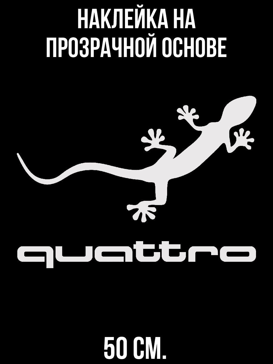 Audi quattro Gecko