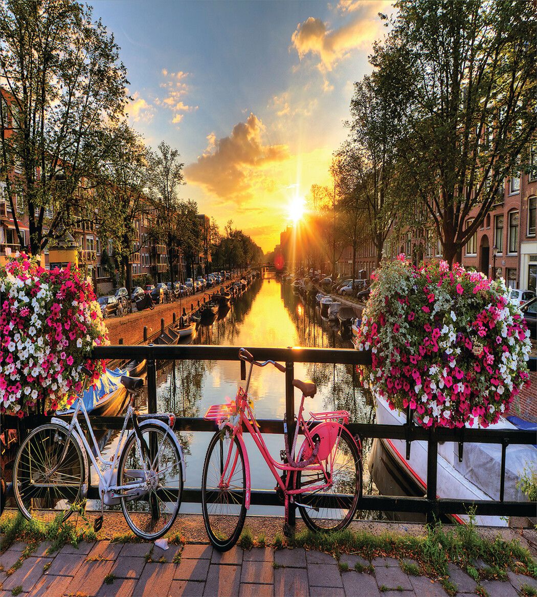 Амстердам велосипед с цветами