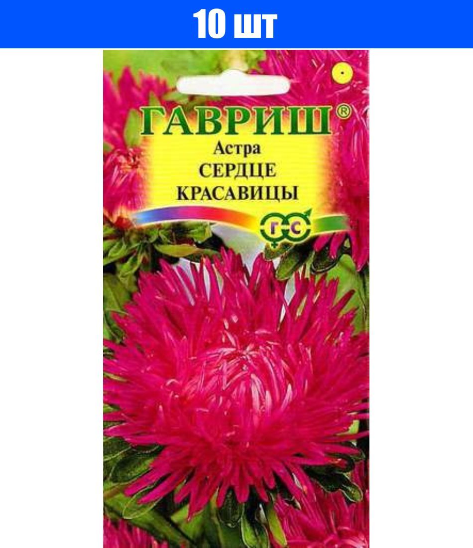 Сердце красавицы. Астра харц смесь Гавриш 0,3г. Астра Фойеркугель. Семена Гавриш Астра харц Сента 0,3 г. Астра американская красавица,смесь 0,3г ц/п Гавриш.