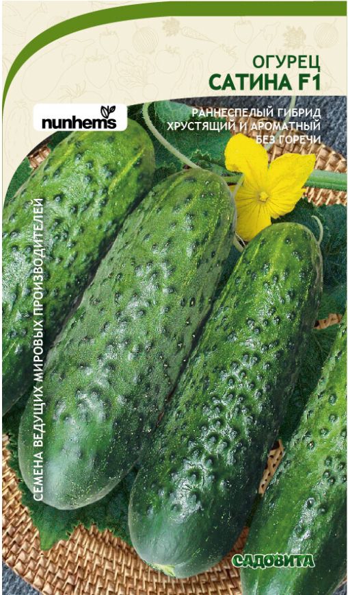 сатин сорт огурца. огурец гост f1 2020. огурцы сатин. огурцы сатин. огурец дездемона.