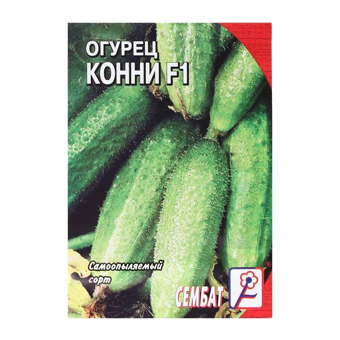 Сорта огурцов конни. Огурец конни f1. огурец конни f1 описание. огурец конни f1 отзывы фото. огурец конни f1 отзывы.