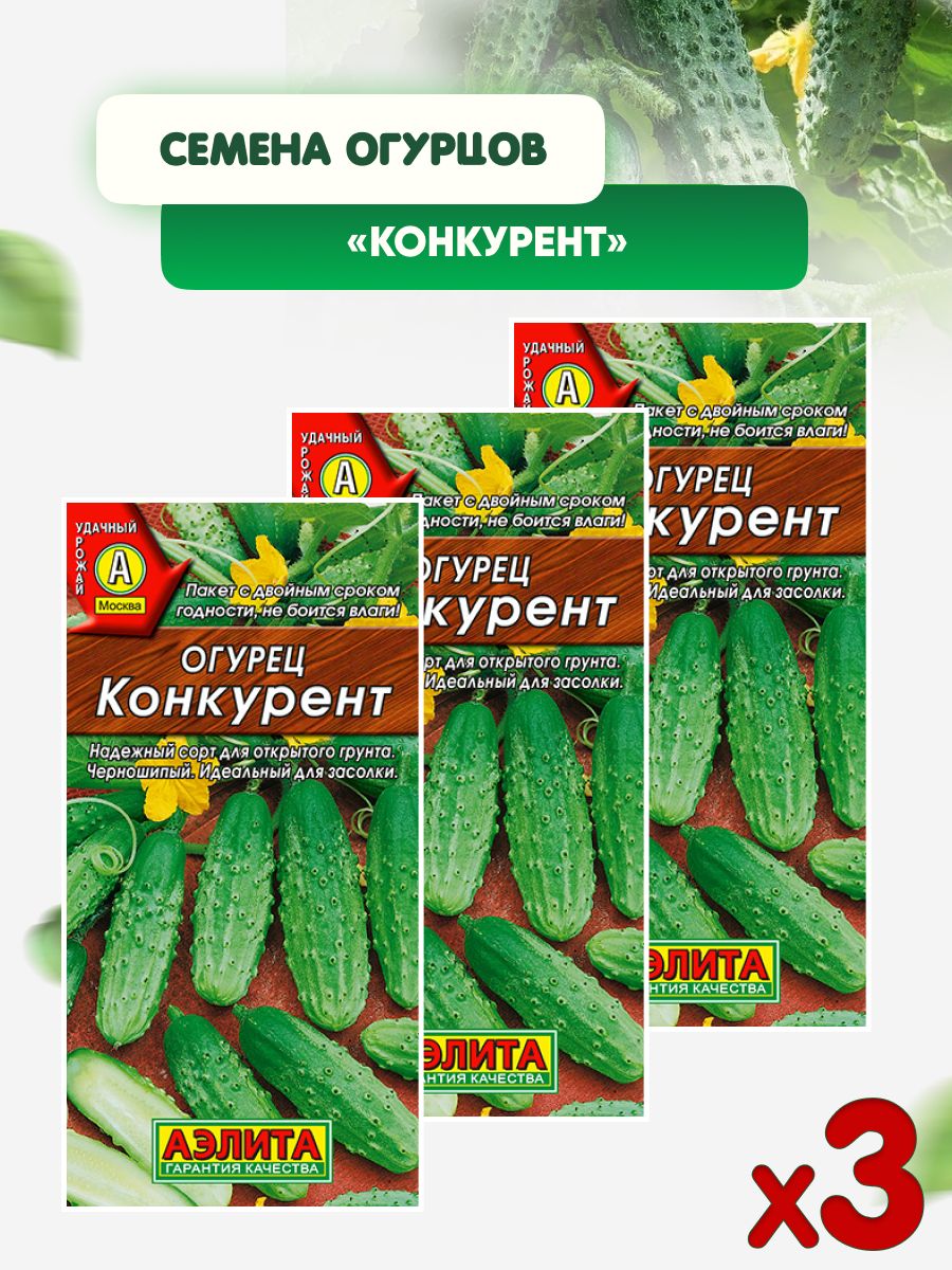 Огурцы конкурент отзывы фото