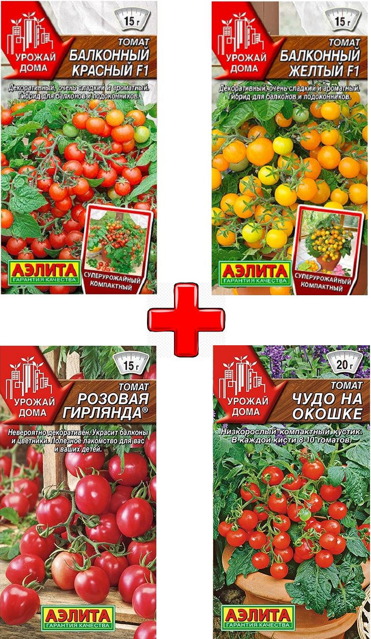 Томат премиум ф1. Томат балконный сахарный (премиум). Томат йеллоу гацци. Томаты балконные f1. Томаты балконные f1.