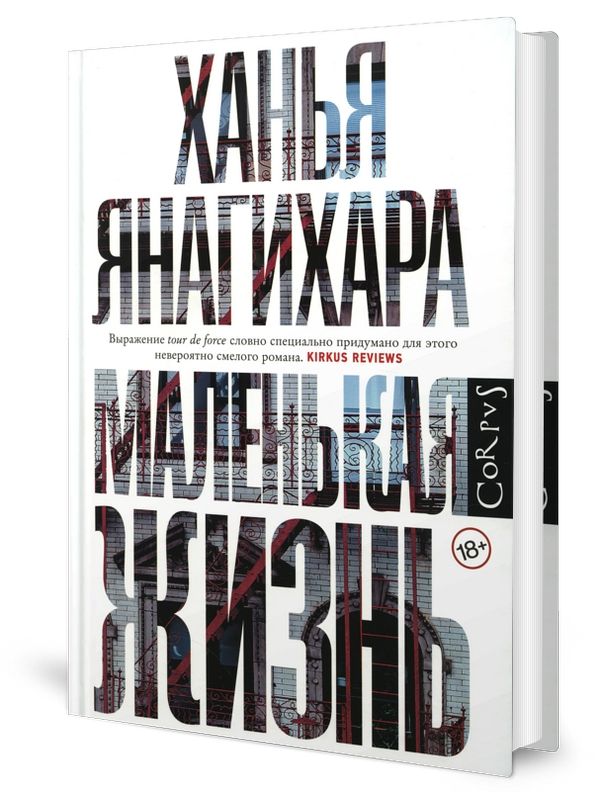 Янагихара книги отзывы. Янагихара маленькая жизнь. Ханья Янагихара. Ханья Янагихара книги. Маленькая жизнь Ханья Янагихара персонажи.