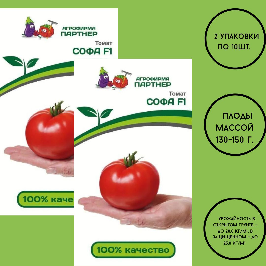 Помидоры софа фирма партнер описание и фото