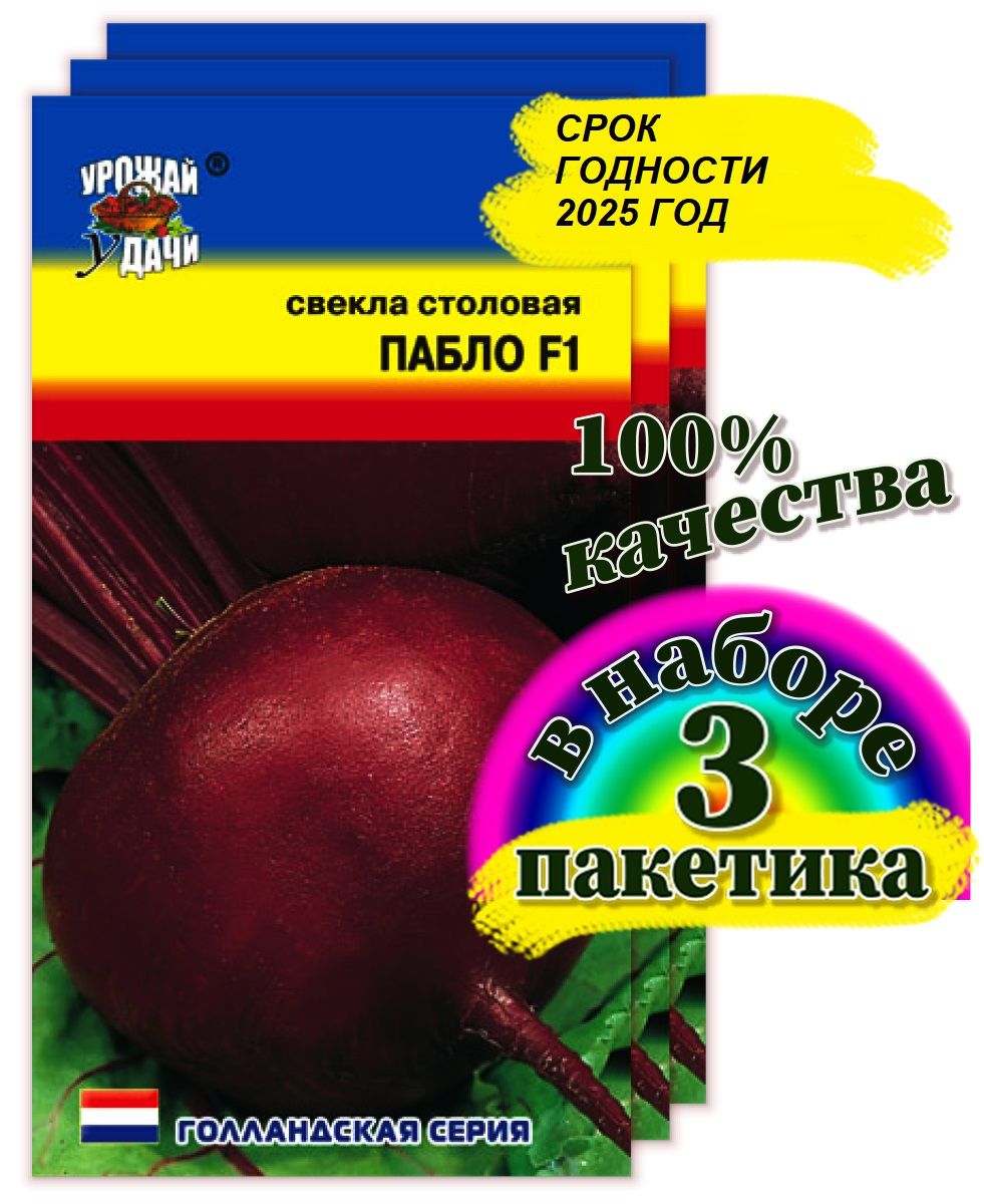 Свекла Урожай удачи цветы1_3_Свекла пабло - купить по выгодным ценам в  интернет-магазине OZON (836460404)