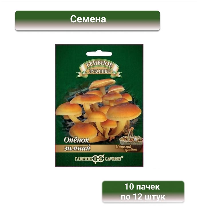 Гавриш Опенок зимний на древесной палочке, большой пакет, 10 пачек по 12 штук