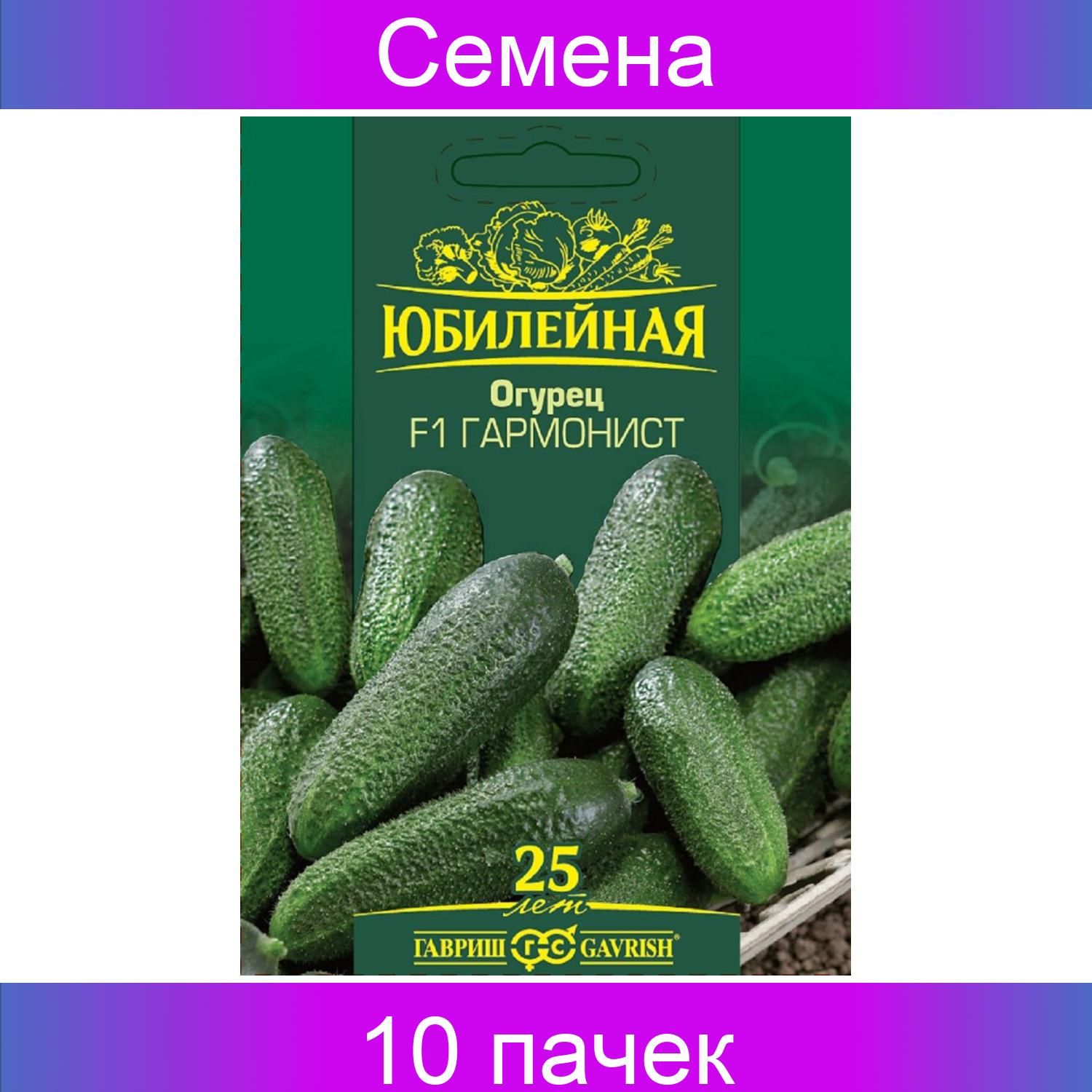Огурец гармонист отзывы фото