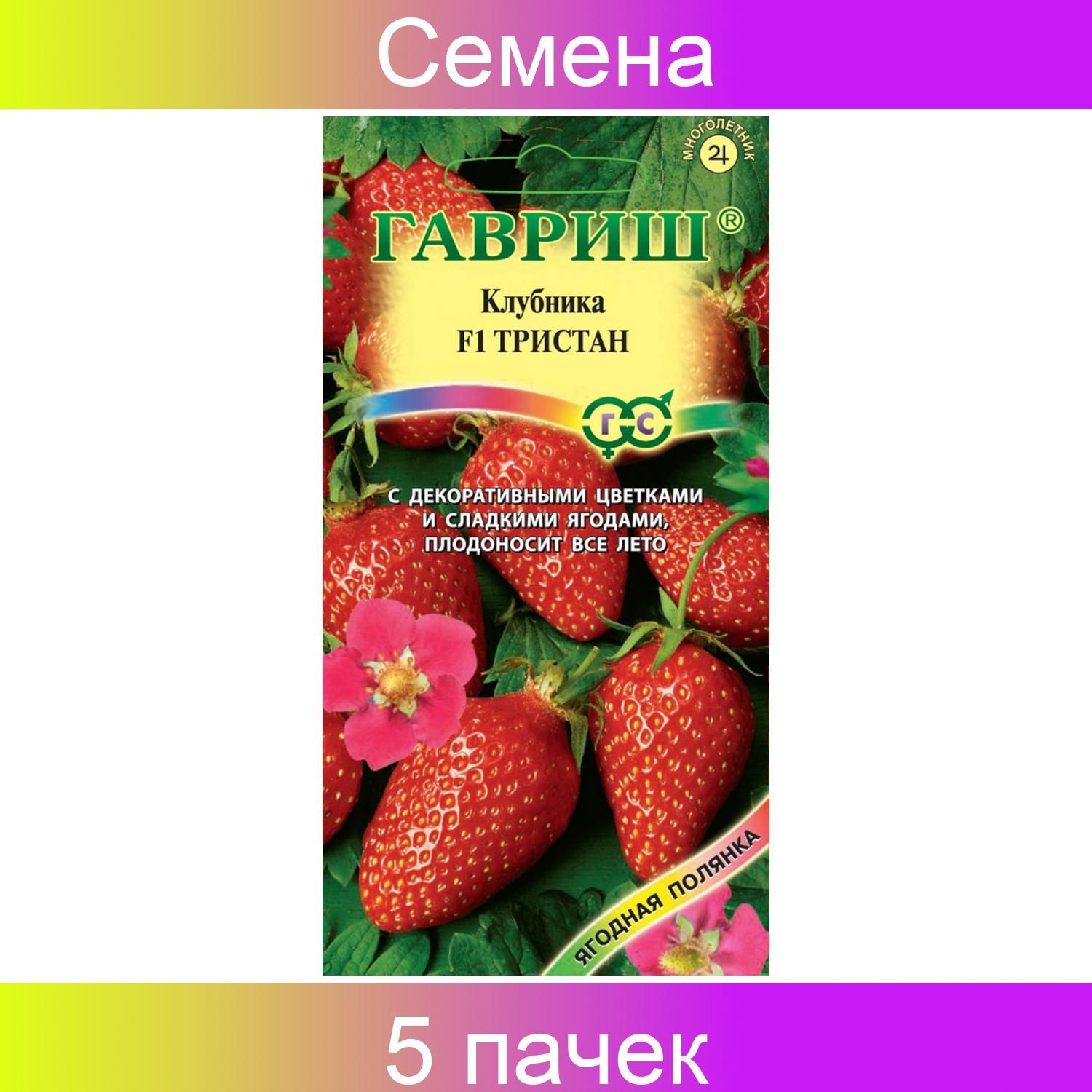 Клубни Земляника и клубника Green Sad купить по выгодной цене в интернет-магазин