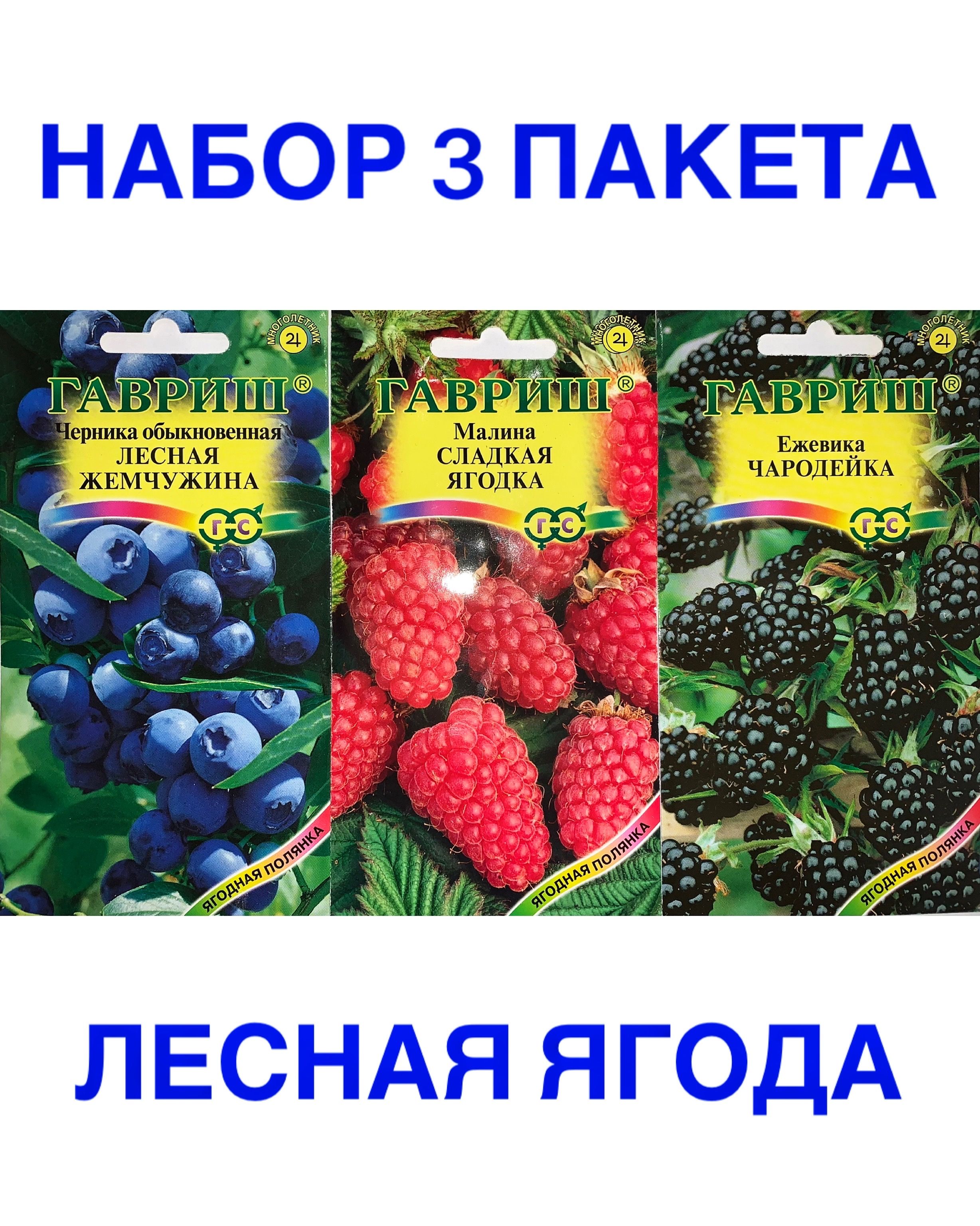 Черника, Ежевика Гавриш Лесная Ягода - купить по выгодным ценам в  интернет-магазине OZON (837364669)