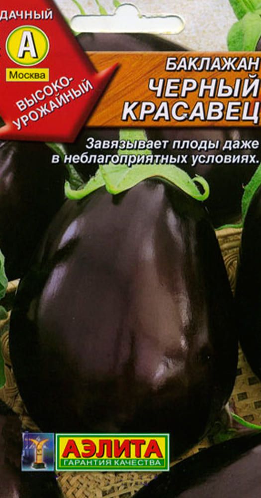 Баклажан черный красавец характеристика и описание фото