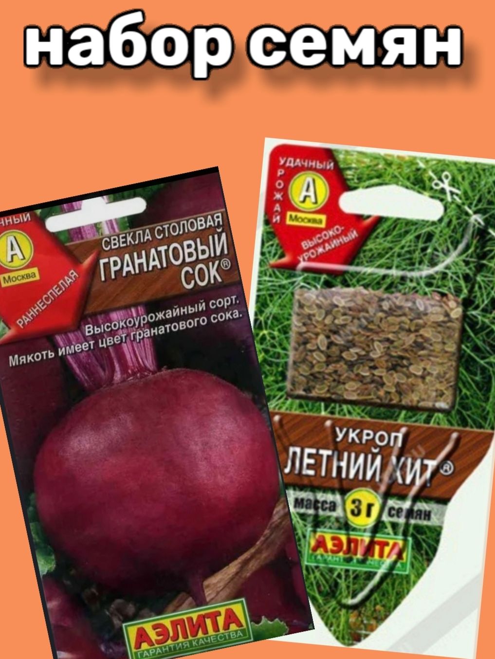 Свекла укроп. Морковь и лук на грядке. Набор семян. Свекла укроп. Морковь и лук на грядке.