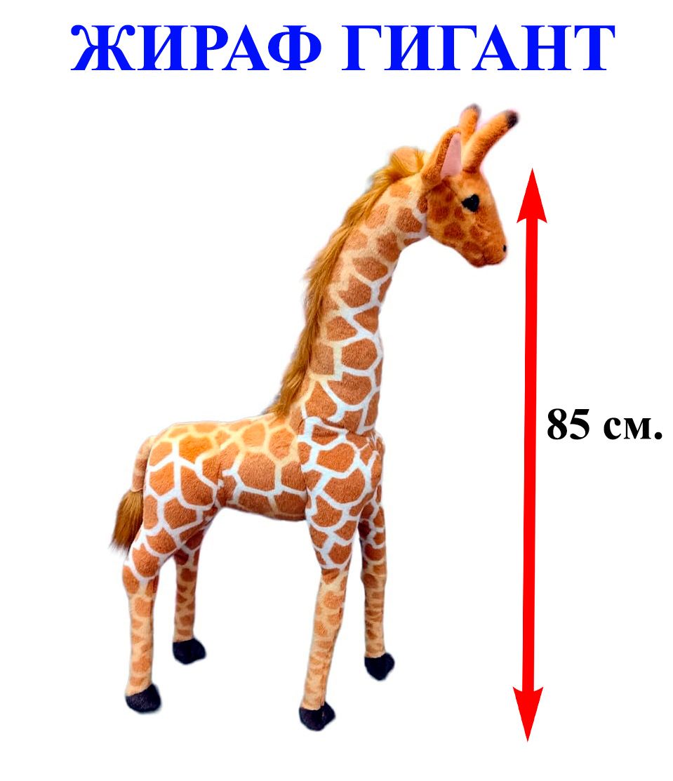 Мягкая игрушка Жираф Гигант. 85 см. Плюшевый африканский Жираф стоящий  прямо. - купить с доставкой по выгодным ценам в интернет-магазине OZON  (856773560)