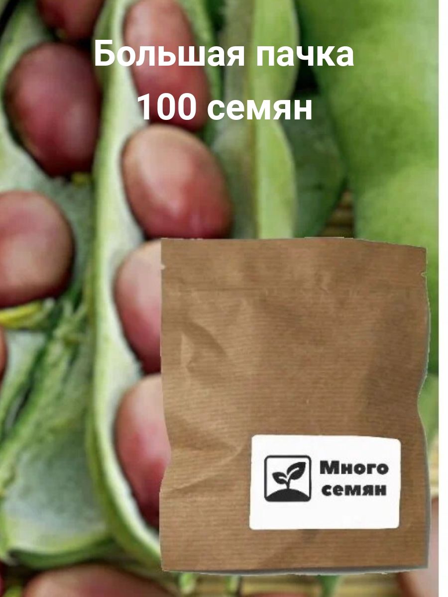 Купить Семена Бобов Овощных