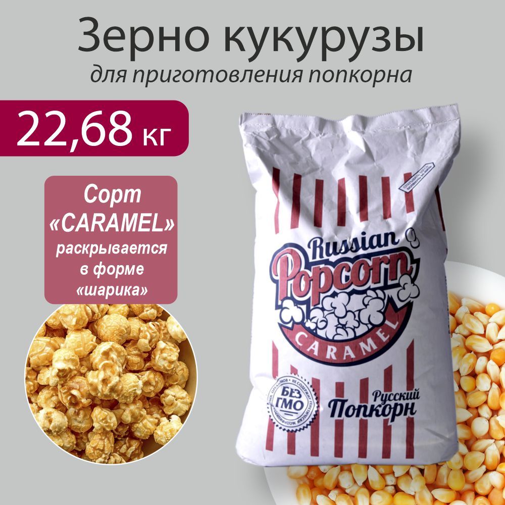 Кукуруза для попкорна, сорт