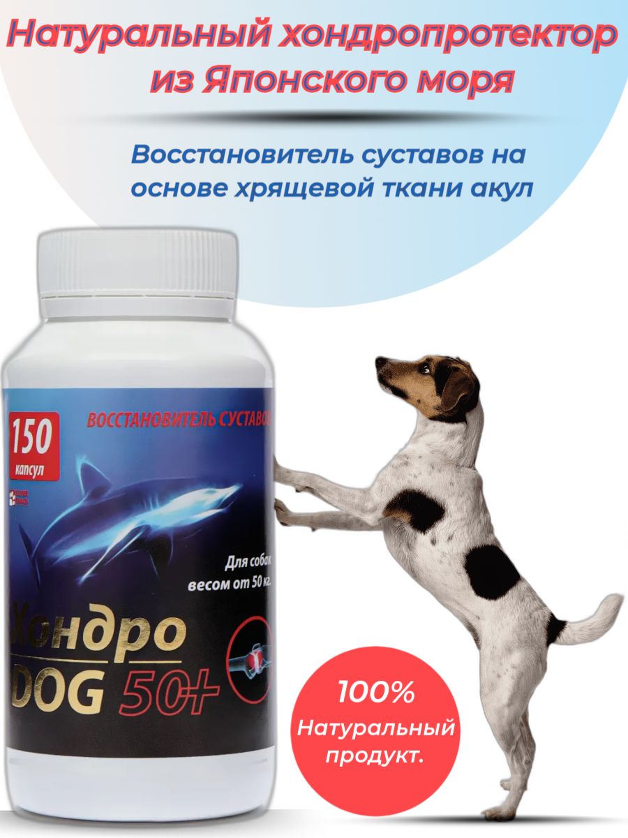 Хондродог 50+,150 капсул, натуральный хондропротектор для связок и суставов.