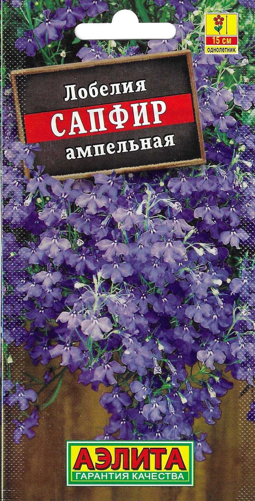 Лобелия ампельная сапфир