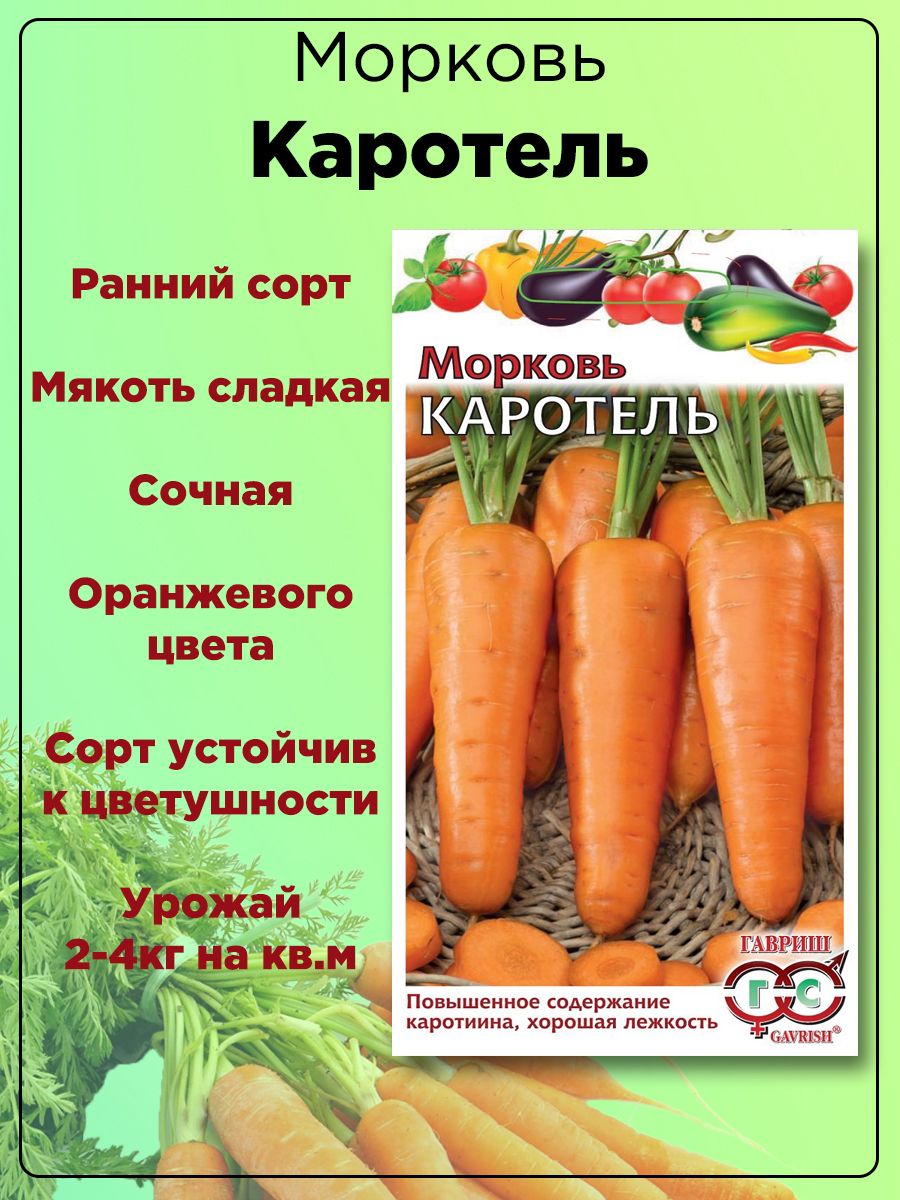 Морковь Каротель Семена Купить