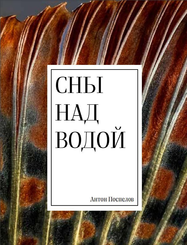 Книги антона. Книга Антона Завьялова.