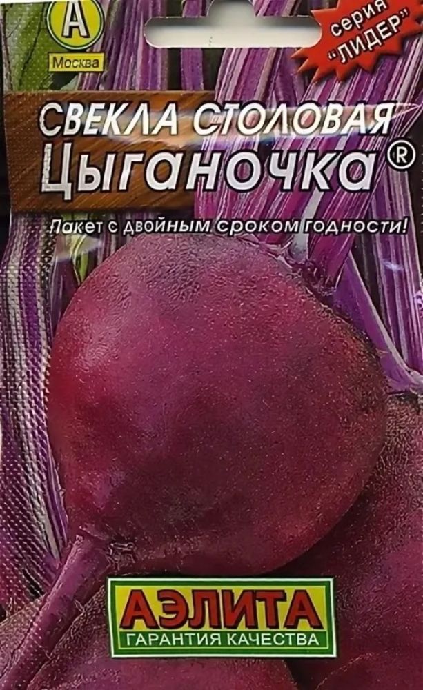 Сорт свеклы цыганочка. Сорт свеклы цыганочка. Сорт свеклы цыганочка. Свекла столовая цыганочка. Свекла цыганочка.