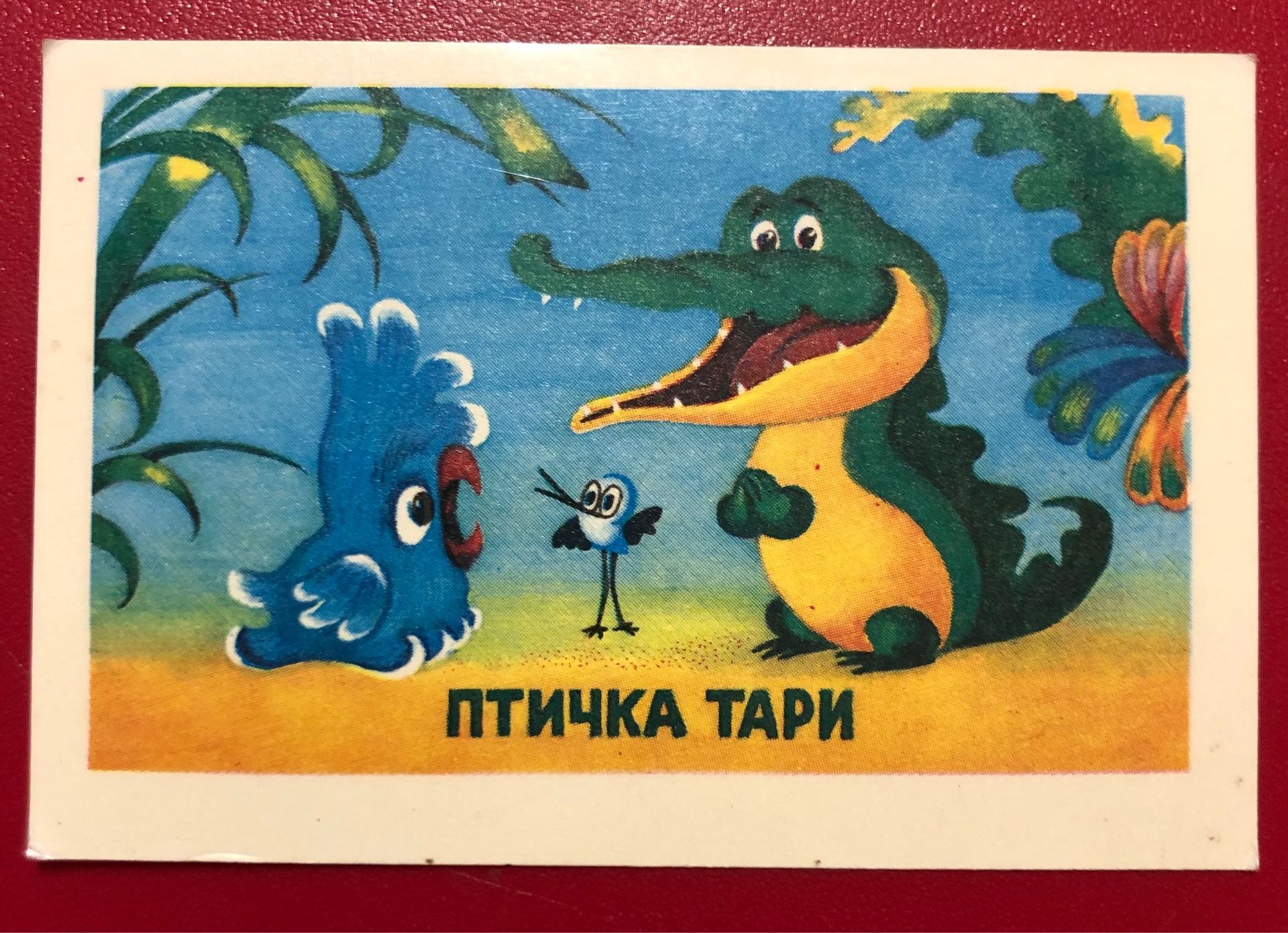 Птичка тари