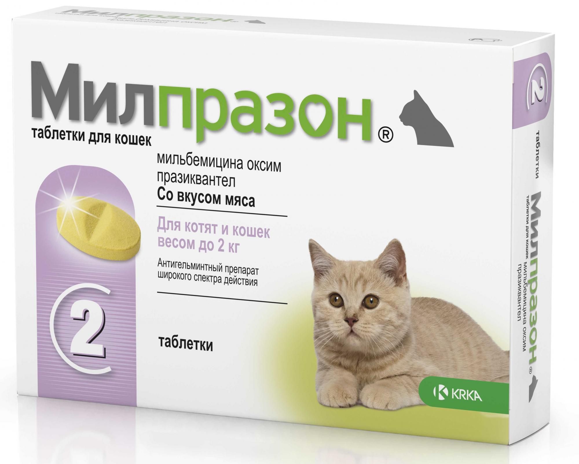 Противовирусные для кошек препараты