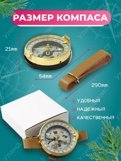 Компас Андрианова (Россия)