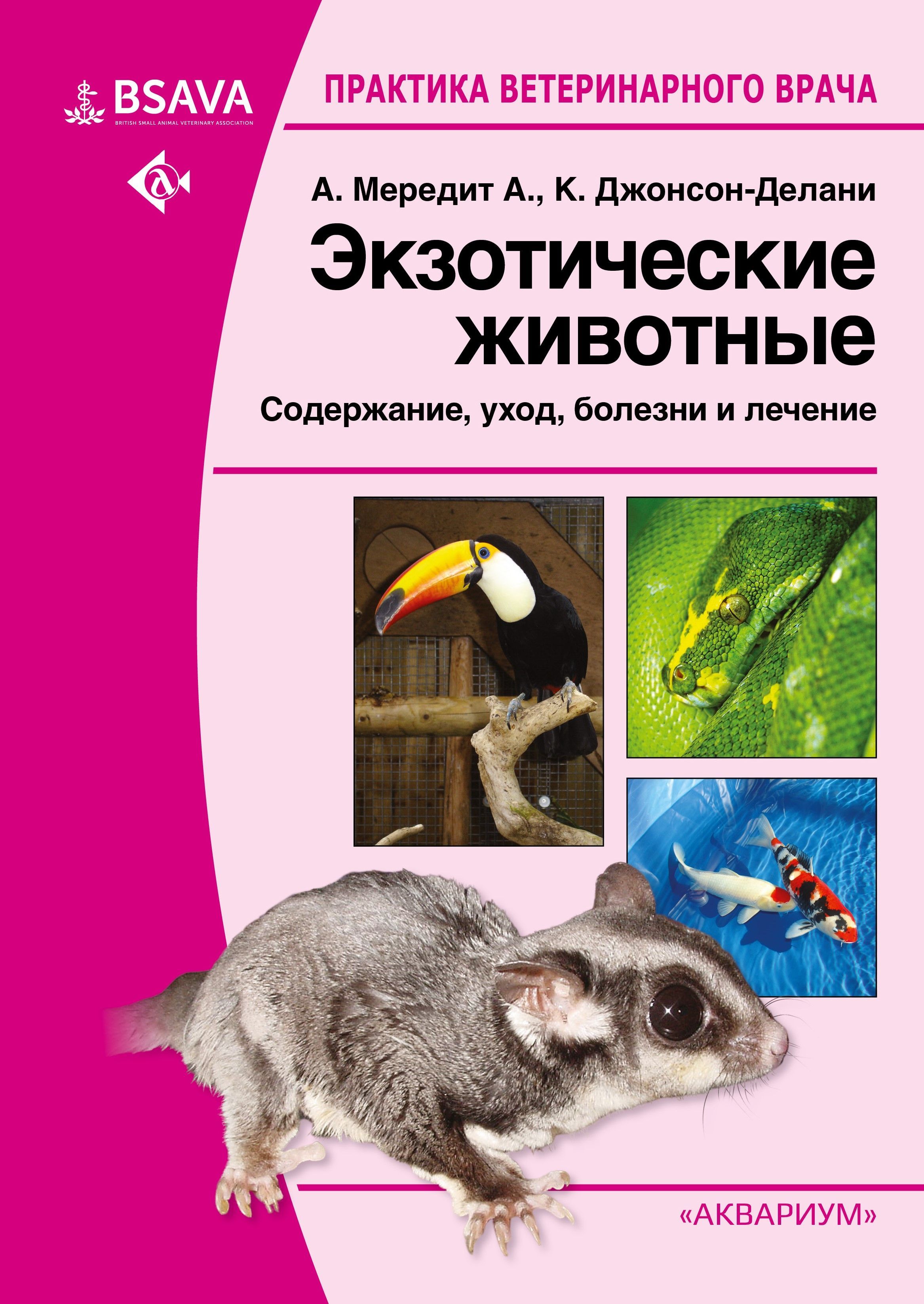 Экзотические животные. Содержание, уход, болезни и лечение - купить с  доставкой по выгодным ценам в интернет-магазине OZON (930161709)