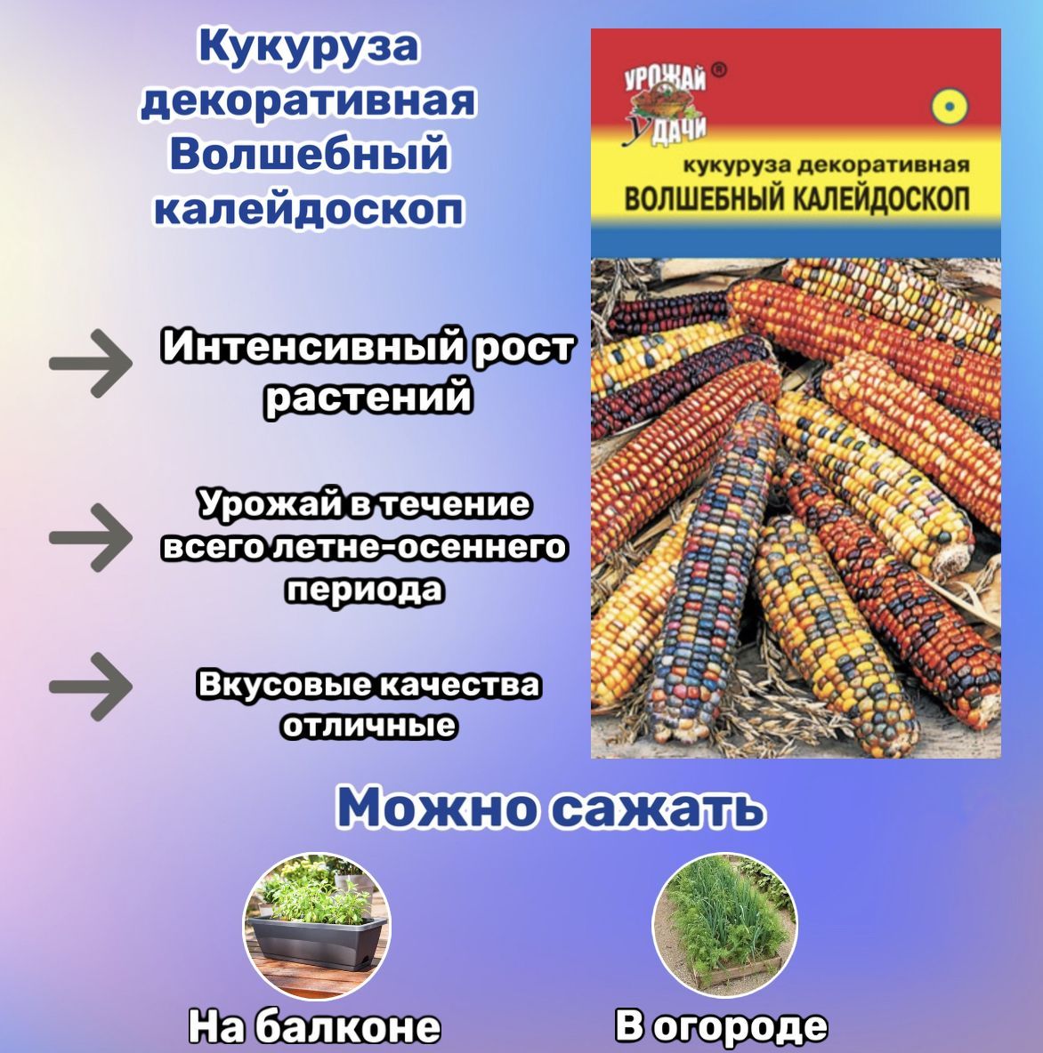 Купить Семена Цветной Кукурузы